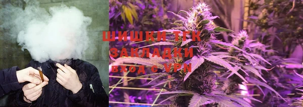 крисы Тобольск