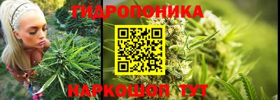 гашик Ставрополь