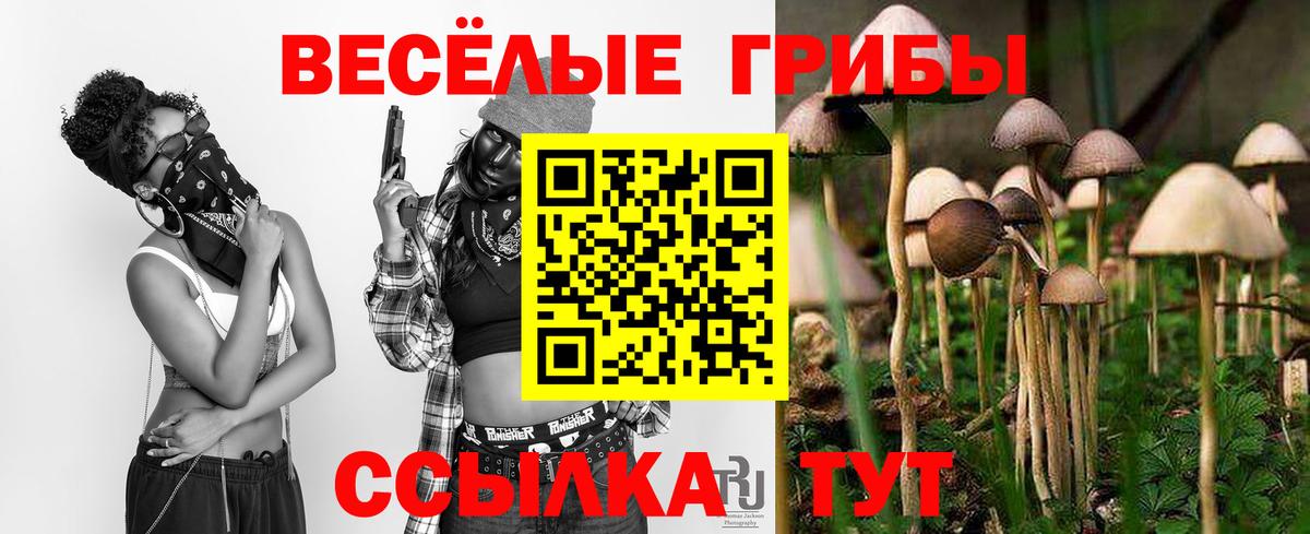 Реж  Псилоцибиновые грибы GOLDEN TEACHER  Вход с VPN 