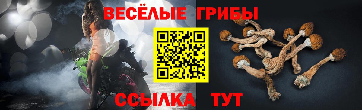 Псилоцибиновые грибы MAGIC MUSHROOMS Реж